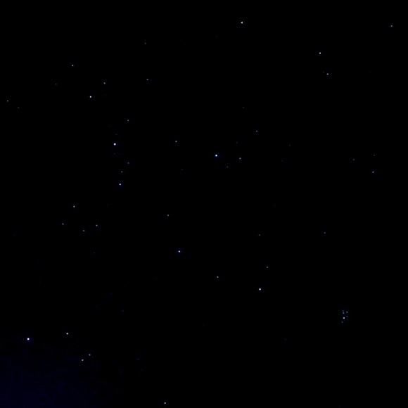 Meet your Posher, Vida - Picture 1 of 1